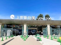 パンダ観覧券「1枚1万1000円」で転売→入手しても使えない　「本来ならお金がかからないはずの予約枠」