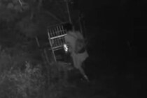 「目障りだ」有害鳥獣用の箱わなにクレーム、やむなく撤去も　ドア盗難被害も発生、地元猟友会は困惑