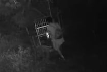 「目障りだ」有害鳥獣用の箱わなにクレーム、やむなく撤去も　ドア盗難被害も発生、地元猟友会は困惑