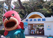 桂浜水族館、クリスマス・イブに「きっと客は来ない」　自虐投稿が大ウケ、結局何人来た？