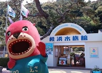 桂浜水族館、クリスマス・イブに「きっと客は来ない」　自虐投稿が大ウケ、結局何人来た？