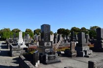 お墓はどうやって数える？「四十九日」はなぜ49日なの？　いまさら聞けない仏事・神事の「常識」