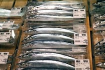 話題の「サンマをゆでて食べる」料理法、「ゴゴスマ」スタジオでも試食　割れるゲストの反応