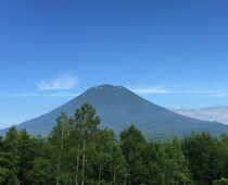 外国人は日本の土地を「買い放題」なのか　北海道で中国系企業が無許可で森林伐採、安全保障上の懸念も