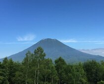 外国人は日本の土地を「買い放題」なのか　北海道で中国系企業が無許可で森林伐採、安全保障上の懸念も