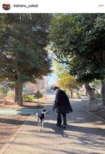 堺正章の娘・小春、離婚を報告　「お互いの幸せを考えた末に出した決断」「前向きに歩んで参ります」