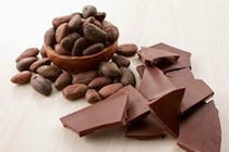 アニマルカフェ、客が無断でチョコ菓子与え「マーモットの命に関わる重大な事件」訴え