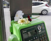 公衆電話に大量ガーベラ、「チェンソーマン」余波か　NTT東日本は胸中複雑「配慮」求める
