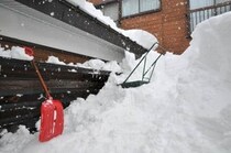 衆院選投票日は寒波ピークの予報　雪害で亡くなる人が続出「そんなに！って思って」長嶋一茂は沈痛