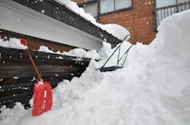 衆院選投票日は寒波ピークの予報　雪害で亡くなる人が続出「そんなに！って思って」長嶋一茂は沈痛