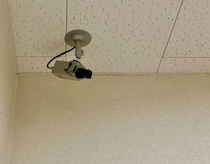 ホビーショップがプラモデル・ミニ4駆売場を閉鎖　「万引き被害があまりにも多すぎて」ユーザー困惑