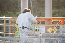 子ザルの「パンチくん」をダシにした詐欺サイト、「THE TIME,」が直撃すると、飼育員のふりをして「親愛なる友人よ」とあきれた対応