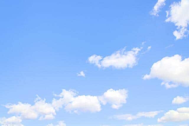 ペット火葬の「後払い」をめぐって（写真はイメージ）