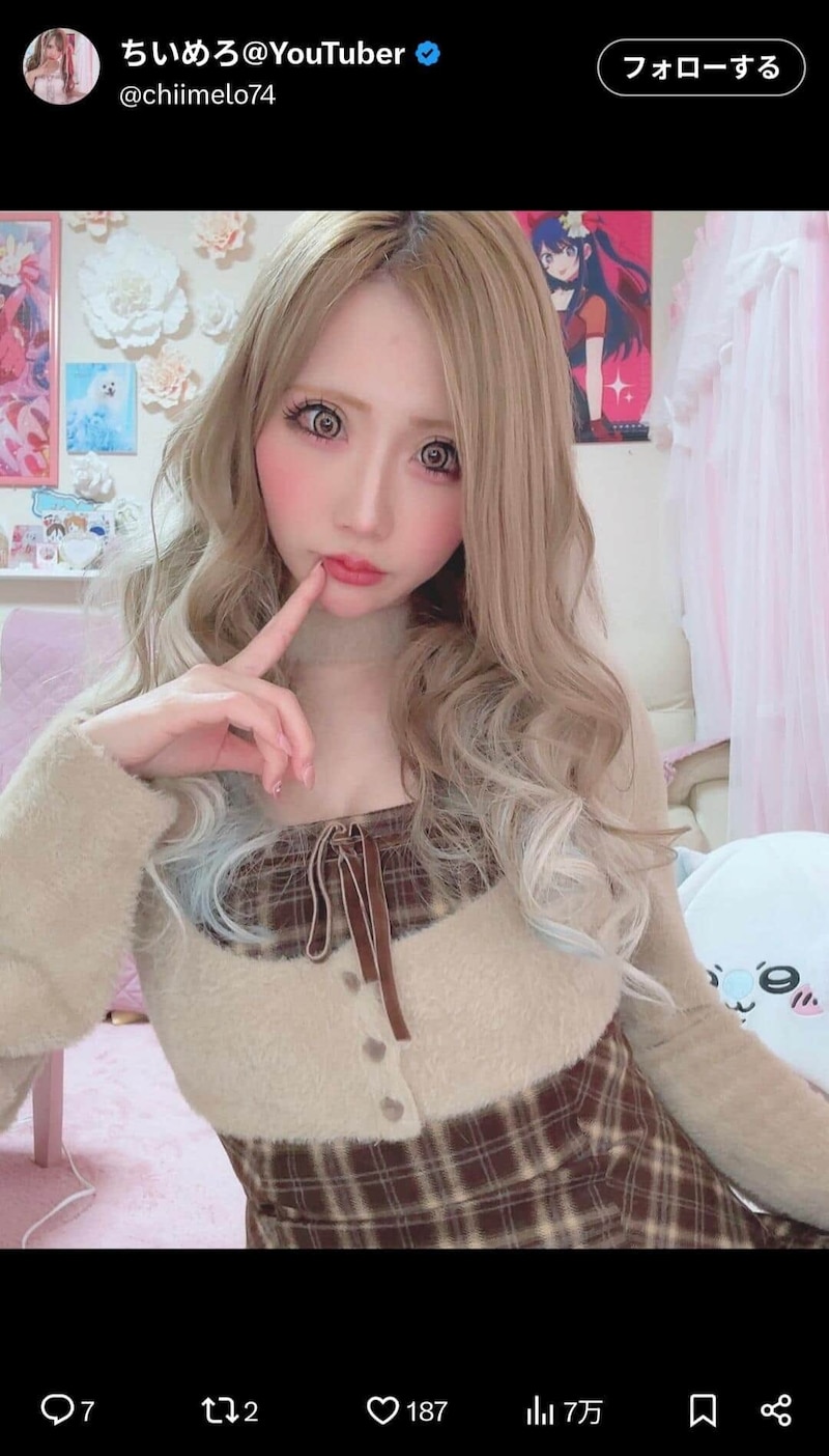 ちいめろさんのX（＠chiimelo74）より