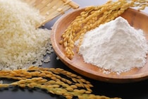 自民党議員らによる「米粉」ポストが話題　高市首相は「米粉たい焼き」に舌つづみ　減反には不安の声も