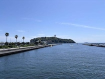 江の島の岩場で海に転落...22歳男性が死亡　「どこの磯でも危険は隣り合わせ」そのリスクとは