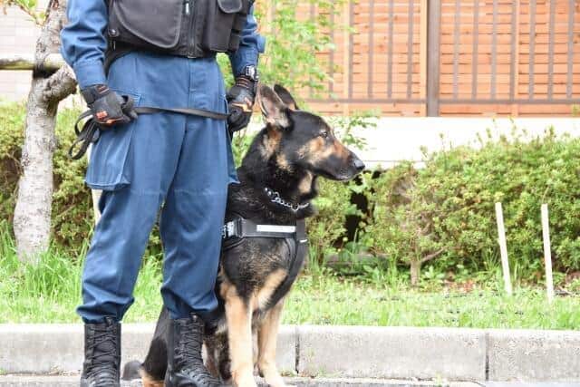 京都府警は朝から60人体制で安達さんの自宅近くの捜索を始めた（画像はイメージ）