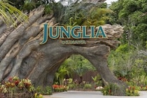 ジャングリア沖縄、「ガラガラ」企画で意見1714枚　代表も現場に参加...取り組みの背景は