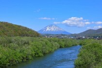 ニセコで「重油」約2000L流出事故、高級温泉旅館から流れた先は...　「水質が最も良好な河川」でお馴染みだった