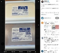 「ハーゲンダッツ業務用に針が」YouTuber投稿にX騒然　メーカー「可能性は考えにくい」が...「詳細調査」準備中
