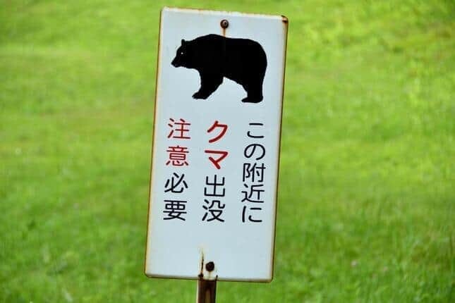 行政がリアルタイムで出している出没情報を常に確認して行動を（画像はイメージ）