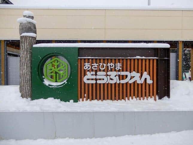 5月1日に開園の北海道・旭山動物園