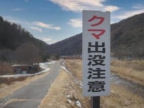人里に食べ物があると学習した春グマが各地に出没　「異常事態と言ってよい」と専門家