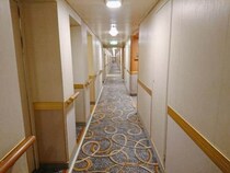 ハンタウイルス集団感染疑いのクルーズ船に日本人乗客　「新型コロナの時の印象が...」と安住紳一郎アナ