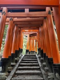 外国人男性が参道の竹に落書き、動画が物議　京都・伏見稲荷大社が呼びかけ「マナーを守って」