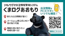 「クラスに2匹」クマ出没ウソ情報を高校生投稿　なぜこんなことを？青森県の調べは