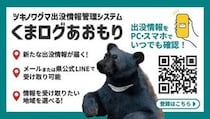 「クラスに2匹」クマ出没ウソ情報を高校生投稿　なぜこんなことを？青森県の調べは