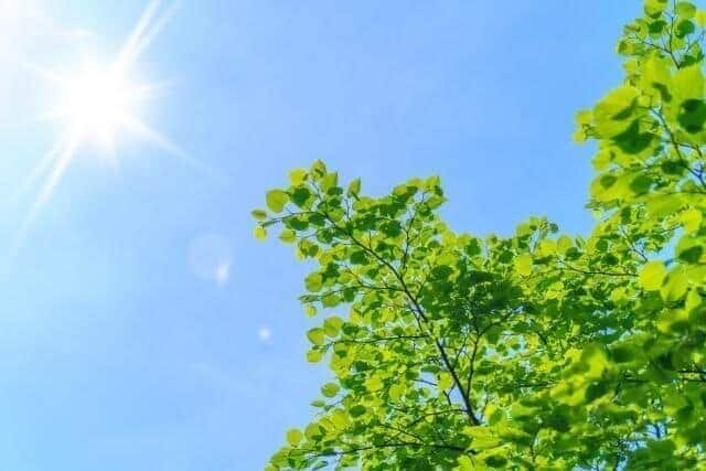 5月時点で厳しい暑さが始まっている（画像はイメージ）