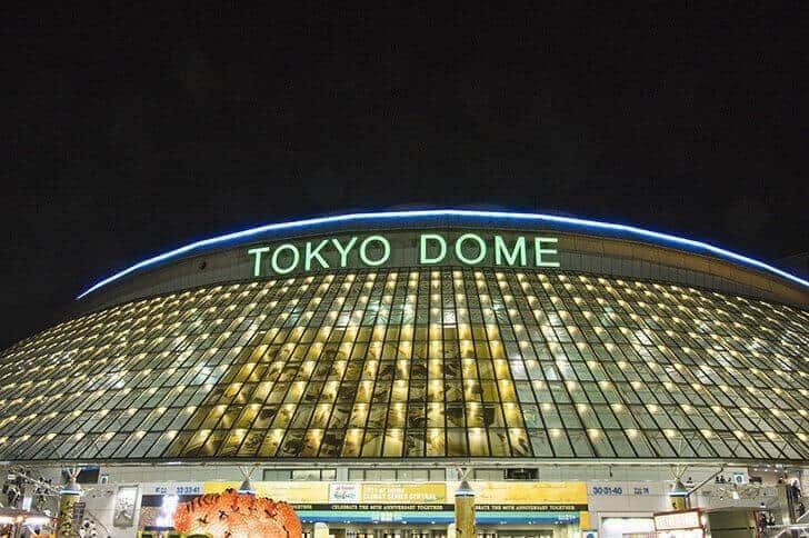 嵐の最後の舞台は東京ドーム(資料写真)。33曲が披露された