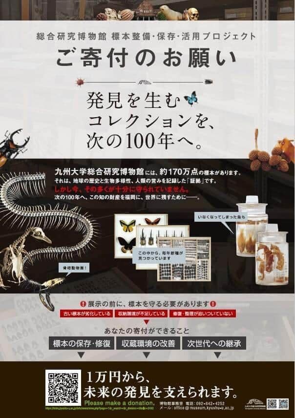 九大の「総合研究博物館」も資金難にあえいでいる 写真は丸山宗利准教授がXに掲載した「ご寄付のお願い」