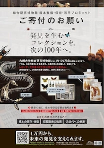 「いまだ100年近く前の標本箱と棚に収納」驚きの実態明かす　九大博物館が3000万円を目標に寄付呼びかけ