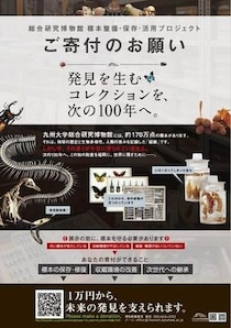 「いまだ100年近く前の標本箱と棚に収納」驚きの実態明かす　九大博物館が3000万円を目標に寄付呼びかけ