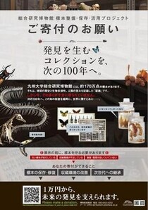 「いまだ100年近く前の標本箱と棚に収納」驚きの実態明かす　九大博物館が3000万円を目標に寄付呼びかけ