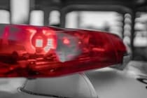 茨城県の唇縫合事件　「わなに入ってしまえば、逃れることは非常に難しい」と専門家