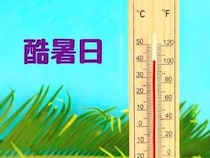 今年初の「酷暑日」、40度超えたのはどこ？　ミヤネ屋、「速報です！」と伝える