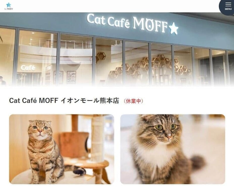 Cat Café MOFF イオンモール熊本店（MOFF公式サイトより）