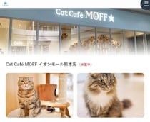 【イオンモール熊本】救出の猫25頭、目立った外傷なし　猫カフェ運営が健康状態を報告、広島へ移送中