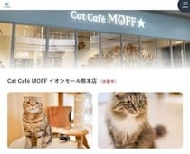 【イオンモール熊本】救出の猫25頭、目立った外傷なし　猫カフェ運営が健康状態を報告、広島へ移送中