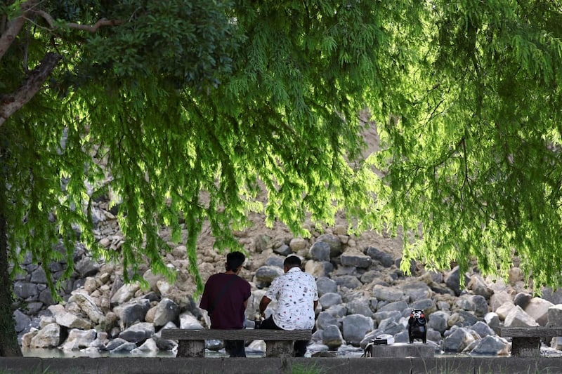 地震は八代市に大きな被害をもたらした。写真は石垣が崩れた八代城の様子(写真:ロイター/アフロ)