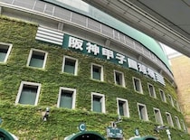 阪神・藤川球児監督が死球で苛立ち...ケガで戦線離脱の選手も出て　「球場の備品に当たらないで」と阪神OB