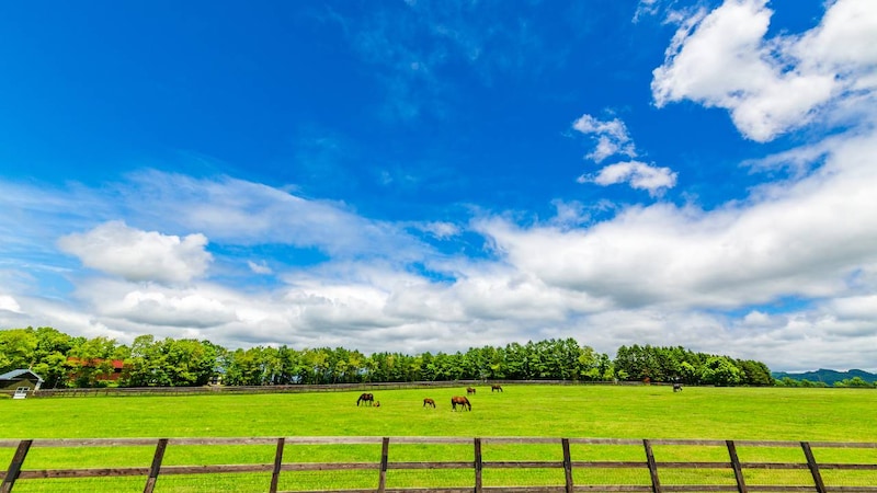 役場職員「ほかの地区とは明らかに違いますね」…人口わずか7,000人、北海道・安平町(あびらちょう)で“億を稼ぐ”資本家たちの正体【お金持ちの地方の実態】