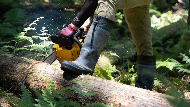 国土の7割が森林なのに、日本で「国産の木」が使われない理由…政府の「致命的な失敗」【建築エコノミストが解説】