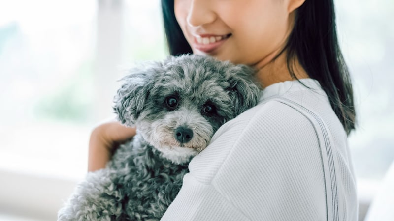 ねえ、パパお願い…年金月18万円“質実剛健”な70歳元体育教師、退職から5年で2,000万円を失ったワケ。原因は「純粋で犬好きな35歳ひとり娘」の存在【CFPが警告】