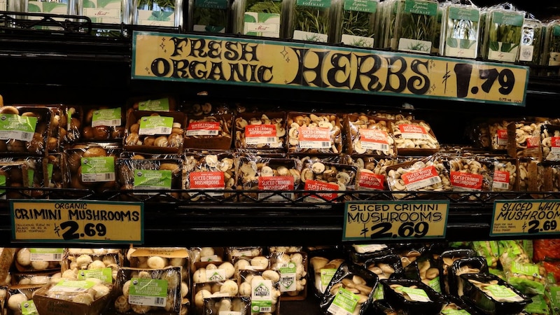 4人家族の支出〈月72万円〉でも「まだ安いほうです」…爆騰するニューヨークの物価「リアルな実情」【人気YouTuberが語る】