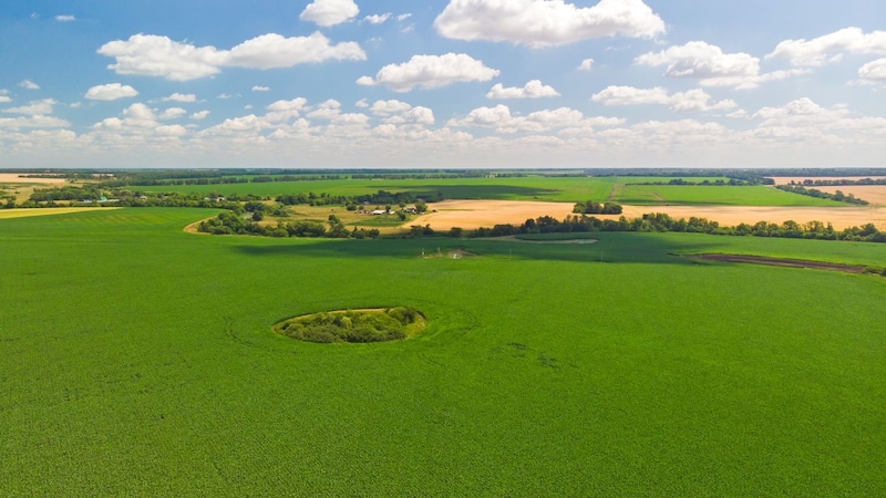 年間100万円で生活費は十分足りる…脱サラ→世界を旅する2児の父が選んだ「幸せに生きるためのお金の使い方」