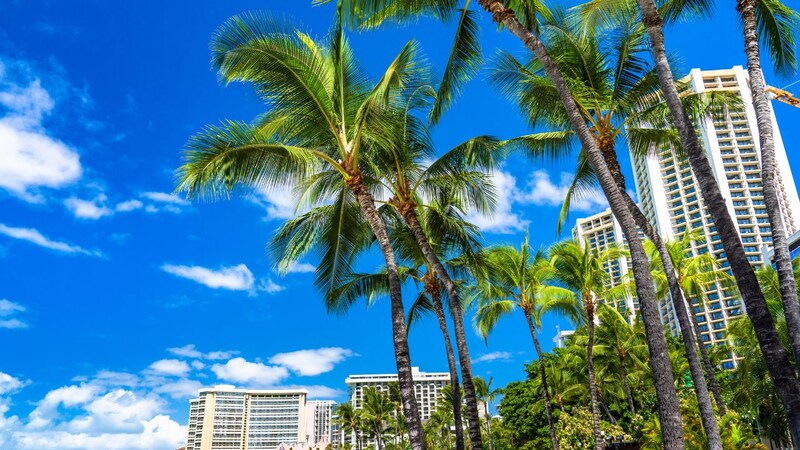 オアフ島より魅力が薄い?山火事の影響は?「ハワイ島」と「マウイ島」最新の不動産市場